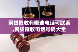 洛龙洛龙的要账公司在催收过程中的策略和技巧有哪些？